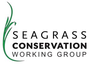 Seagrass Conservation